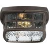 Quoizel Stonington Outdoor Flush Mount SNN1612PN